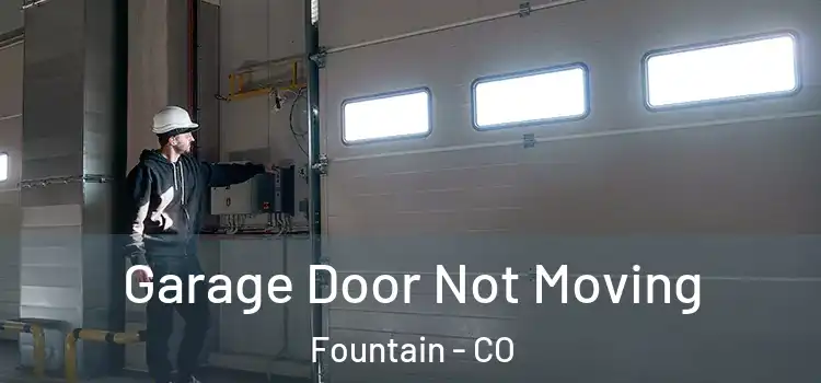  Garage Door Not Moving Fountain - CO